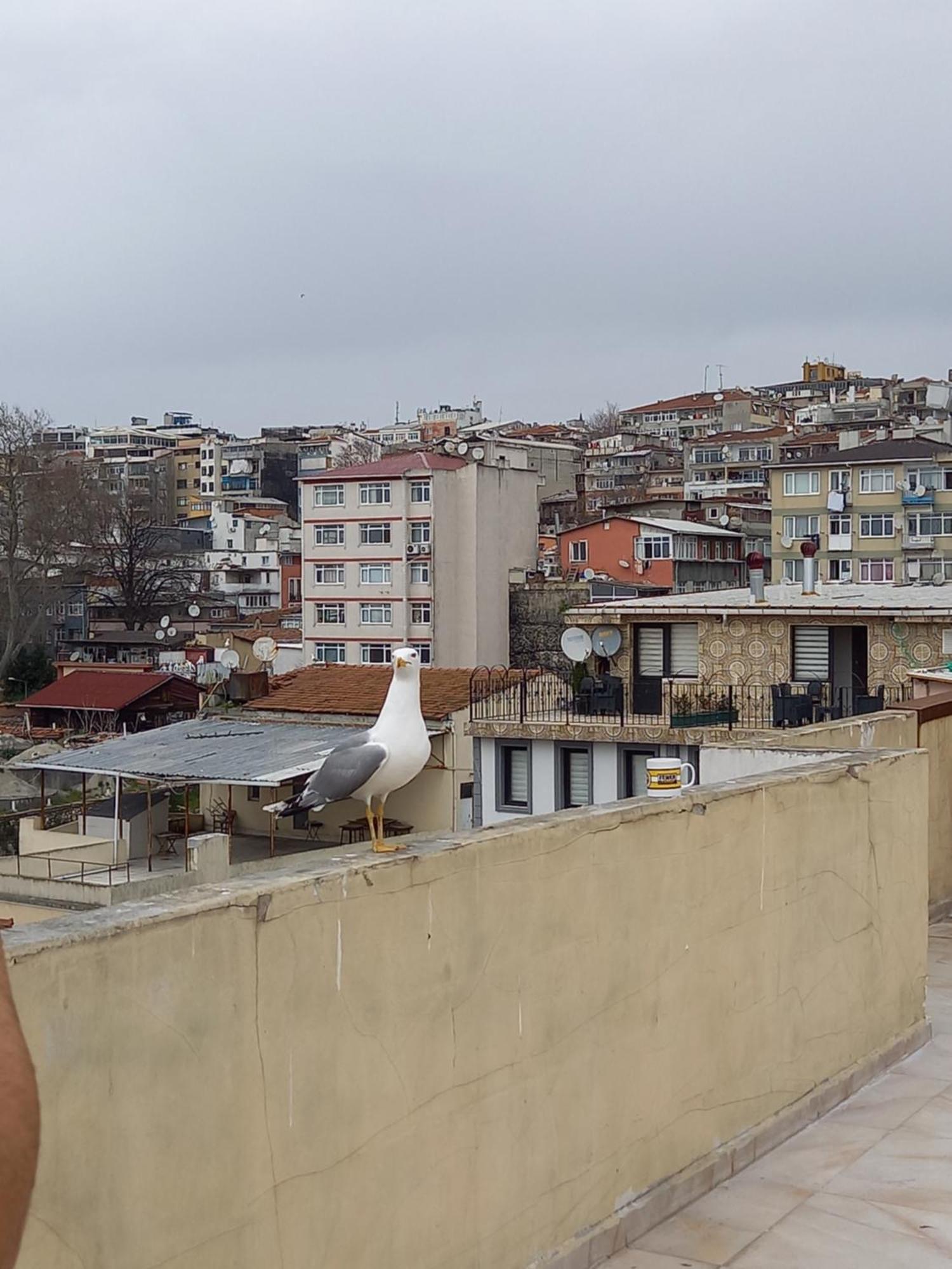Avsin Residence Istambul Exterior foto